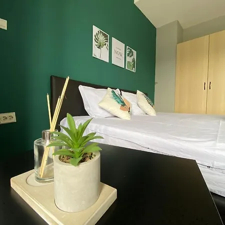 Strelitzia Skopje